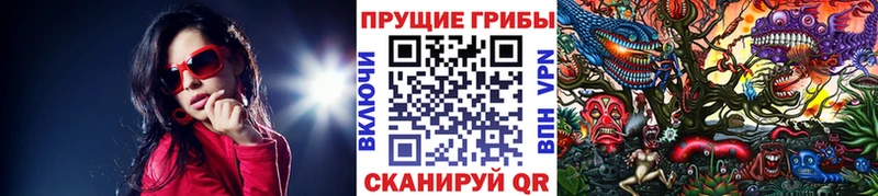 Галлюциногенные грибы GOLDEN TEACHER где купить Азов